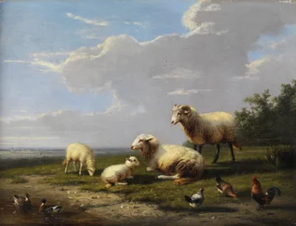 Wide Spring Landscape with Sheep, Chickens, and Ducks